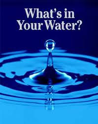 What's in your water?